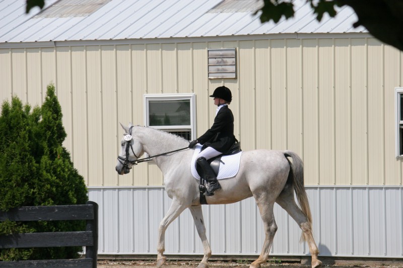 Her First Show: Silverwood Farm Dressage