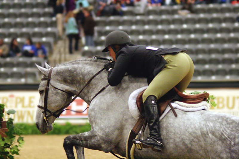 The Alltech National Horse Show