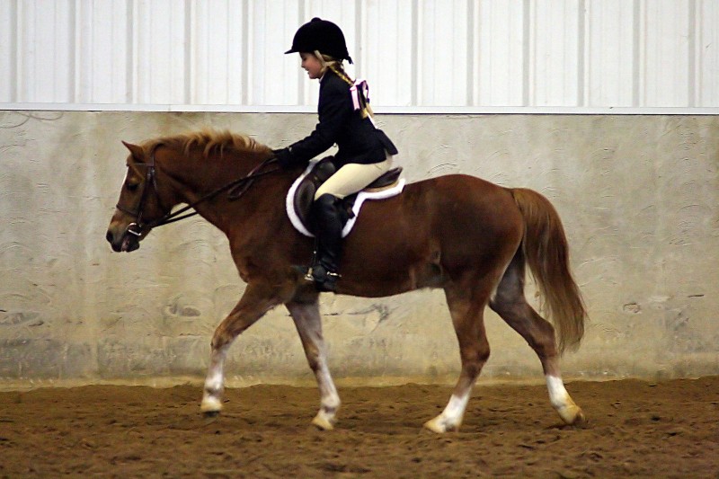Ribbons and Braids at Fields and Fences Equestrian Center