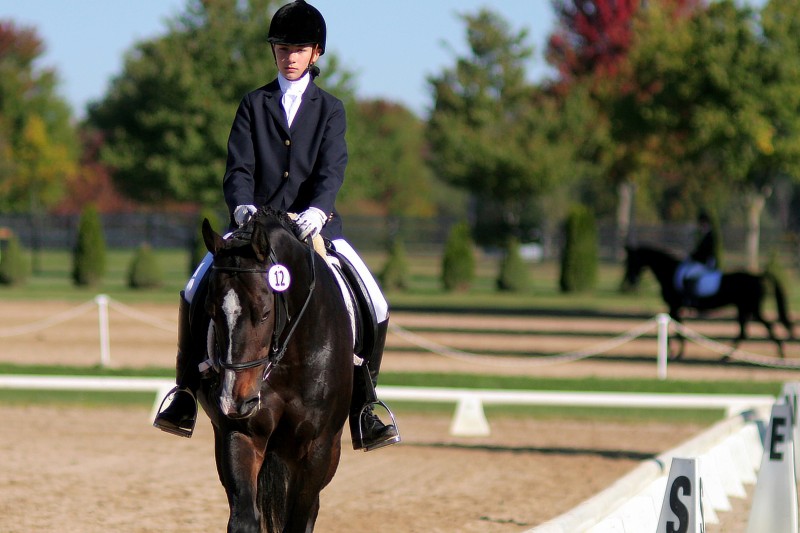 Ring 3, Sunday Morning, October 2, 2011, Silverwood Farm