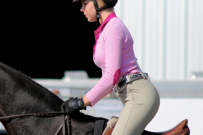 Hunter/Jumper Show, Wadsworth, IL