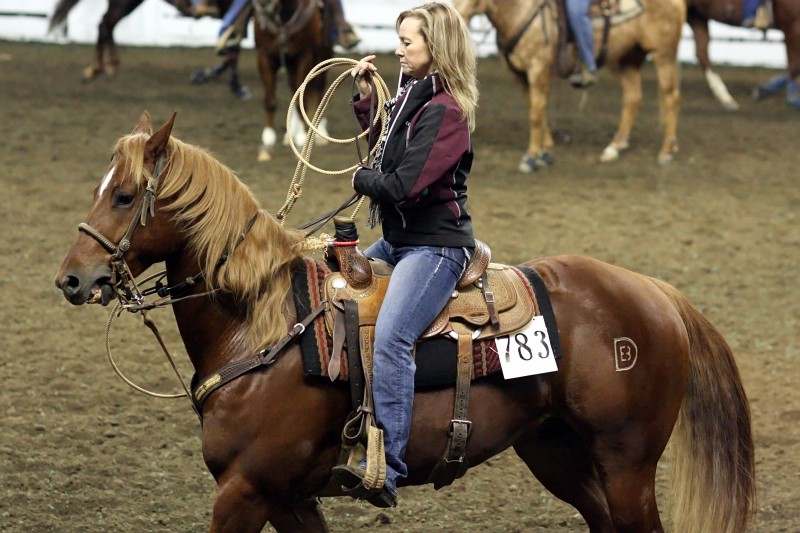 Quarter Horse Show